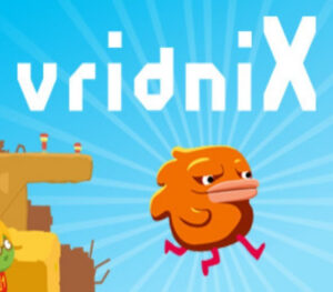 vridniX Steam CD Key