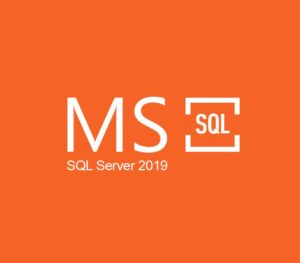 MS SQL Server 2019 CD Key