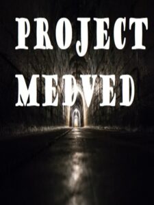 Project Medved Steam CD Key