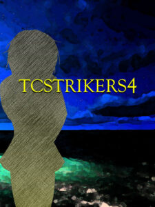 TCSTRIKERS4 Steam CD Key