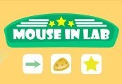 Mouse in Lab Steam CD Key