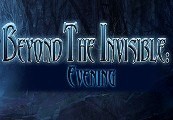 Beyond the Invisible: Evening Steam CD Key GLOBAL