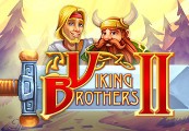 Viking Brothers 2 Steam CD Key