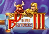 Viking Brothers 3 Steam CD Key
