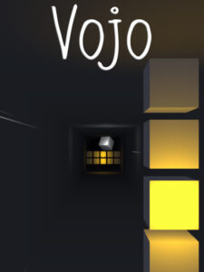 Vojo Steam CD Key