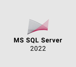 MS SQL Server 2022 CD Key