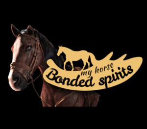 My Horse: Bonded Spirits PC Steam CD Key