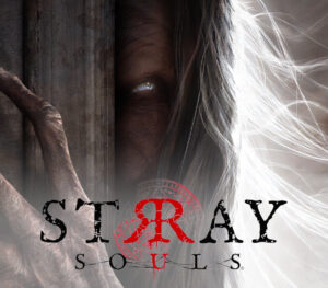 Stray Souls Steam CD Key