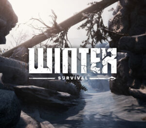 Winter Survival Steam CD Key