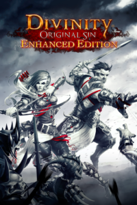 Divinity: Original Sin Enhanced Edition Steam Account