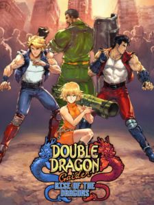 Double Dragon Gaiden: Rise Of The Dragons Steam CD Key