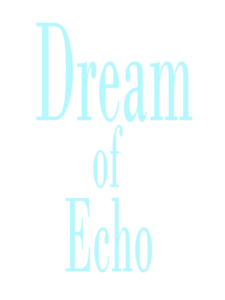 Dream of Echo Steam CD Key