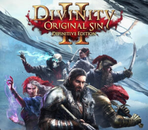 Divinity: Original Sin 2 Definitive Edition PlayStation 4 Account pixelpuffin.net Activation Link