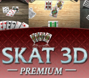 Skat 3D Premium Steam CD Key