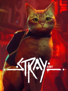 Stray PlayStation 4 Account