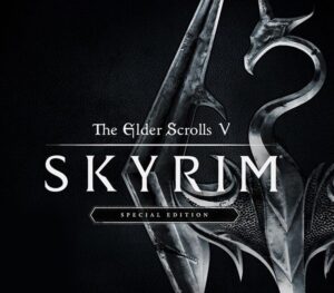 The Elder Scrolls V: Skyrim Special Edition PlayStation 4 Account pixelpuffin.net Activation Link