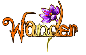 Wander Steam Gift