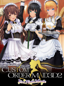 CUSTOM ORDER MAID 3D2 It's a Night Magic EU v2 Steam Altergift