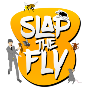 Slap The Fly Steam CD Key